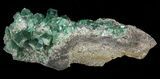Fluorite & Galena Cluster - Rogerley Mine #60373-2